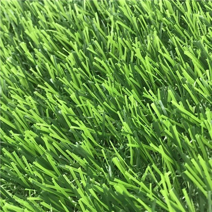 all-green34504969060 (4