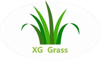 Zhejiang  Xingu  Nuovo  Materiali  Tecnologia  Co.,Ltd