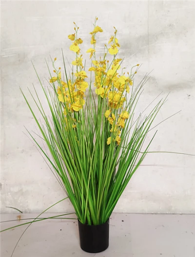 Phalaenopsis orchidea artificiale