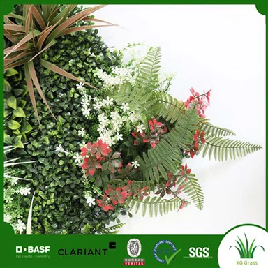 Parete in muschio vivente per interni