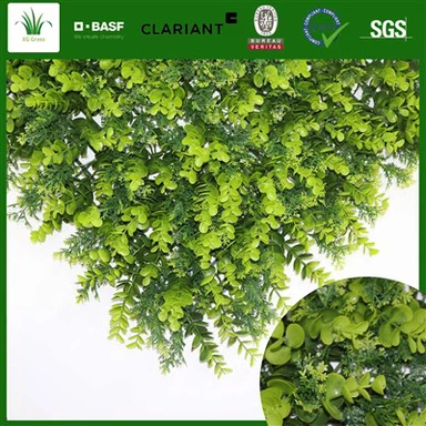 Soggiorno Parete interna da giardino