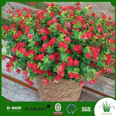 Vero touch rose