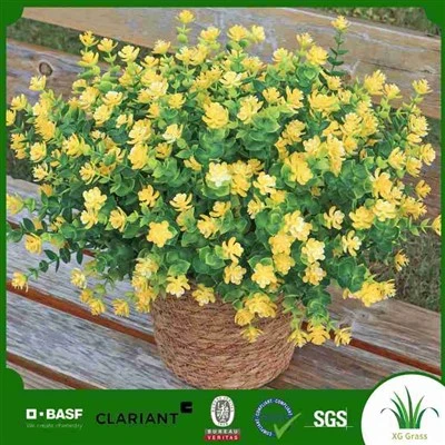 Veri tulipani