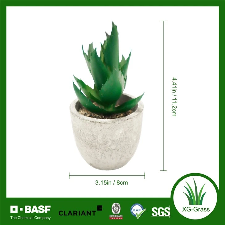 Xingu Lifelike Mini Faux Succulent Plants For Home Decor best